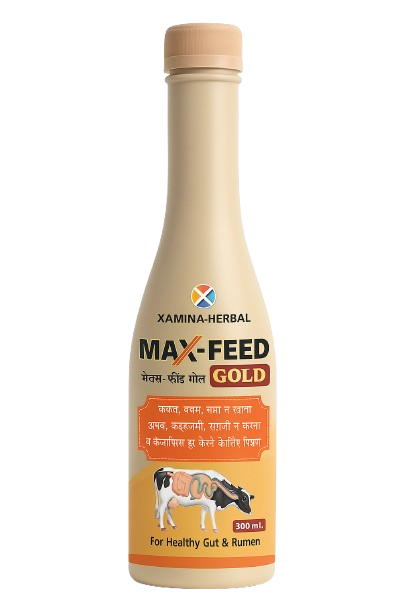 Max Feed Gold