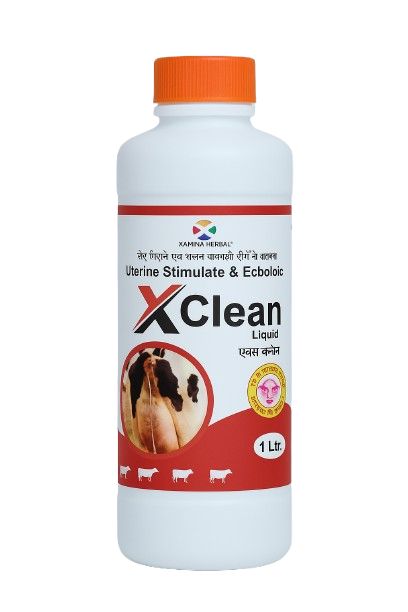 X-Clean
